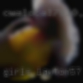 Girls Lawton